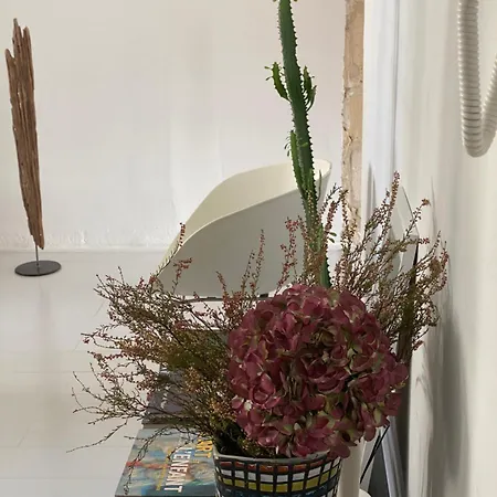 Bo, Peace & * 波尔多