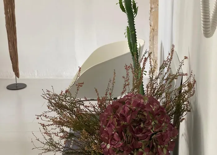 Bo, Peace & * 波尔多